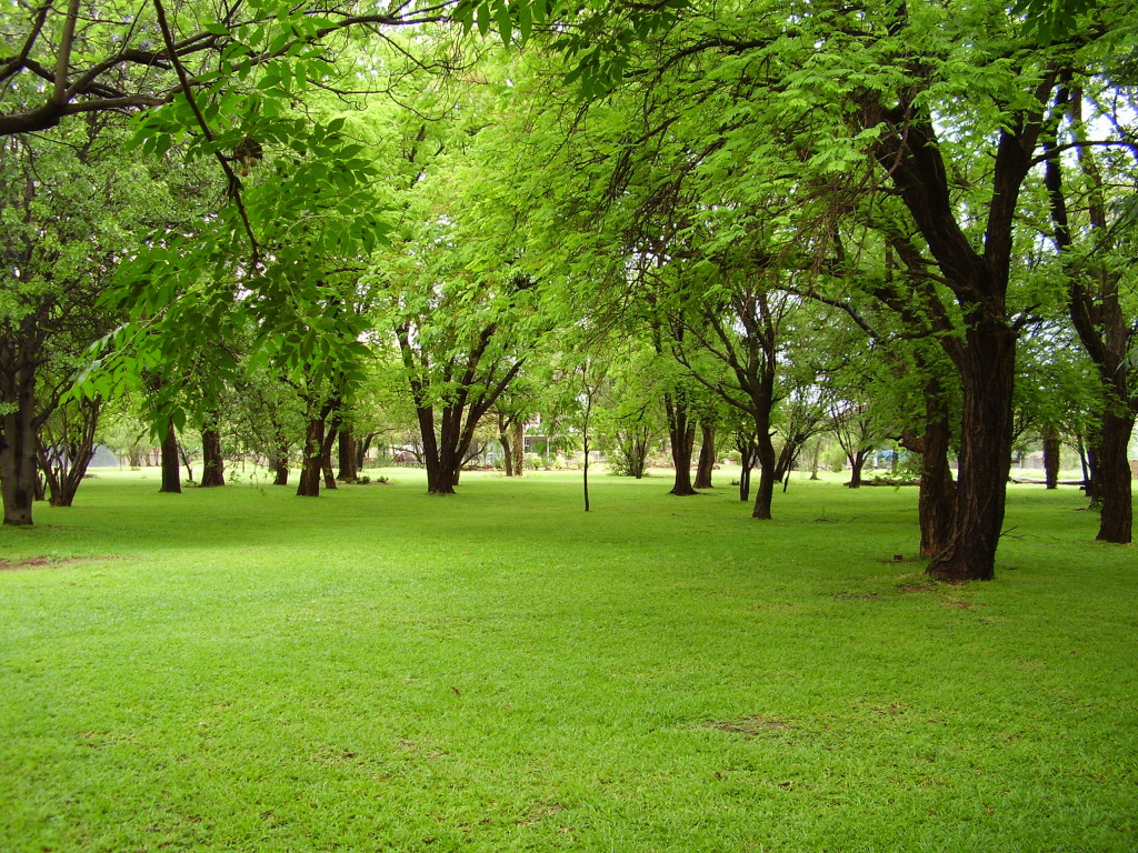 Gardens